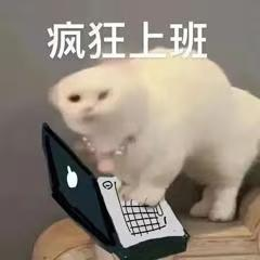 上班小猫